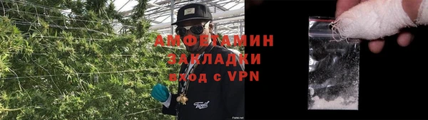 амф Алексеевка